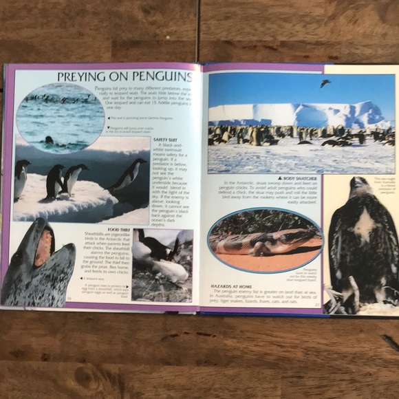 Animal Books for Kids - Picture 5 of 9